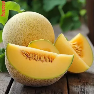 Vôňa do vrecka do vysávača, žltý melón